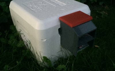 Dispenser for bumble bee hives