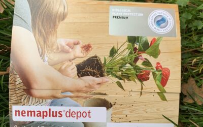 Nemaplus depo, en ny bionedbrydelig kapsel formulering af nematoder mod sørgemyg